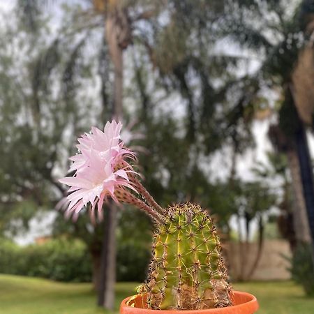 Villa Piruzzu Cv Torre Mulinazzo App P チーニジ エクステリア 写真